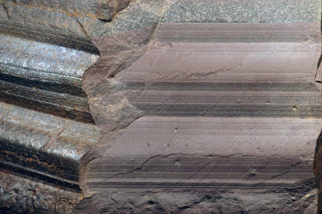 Proglacial lacustrine rhythmitic argillite (Konnarock Formation, Neoproterozoic, ~750 Ma; Grassy Branch Outcrop - Rt. 603 roadcut, Smyth County, Virginia, USA)